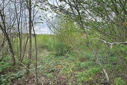 Grundstück Menden Berkenhofskamp - 149.500&euro; | Angebot:25199952