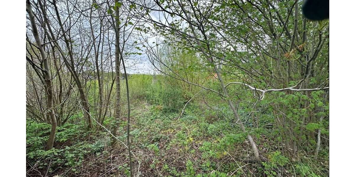 Grundstück Menden Berkenhofskamp - 149.500&euro; | Angebot:25199952