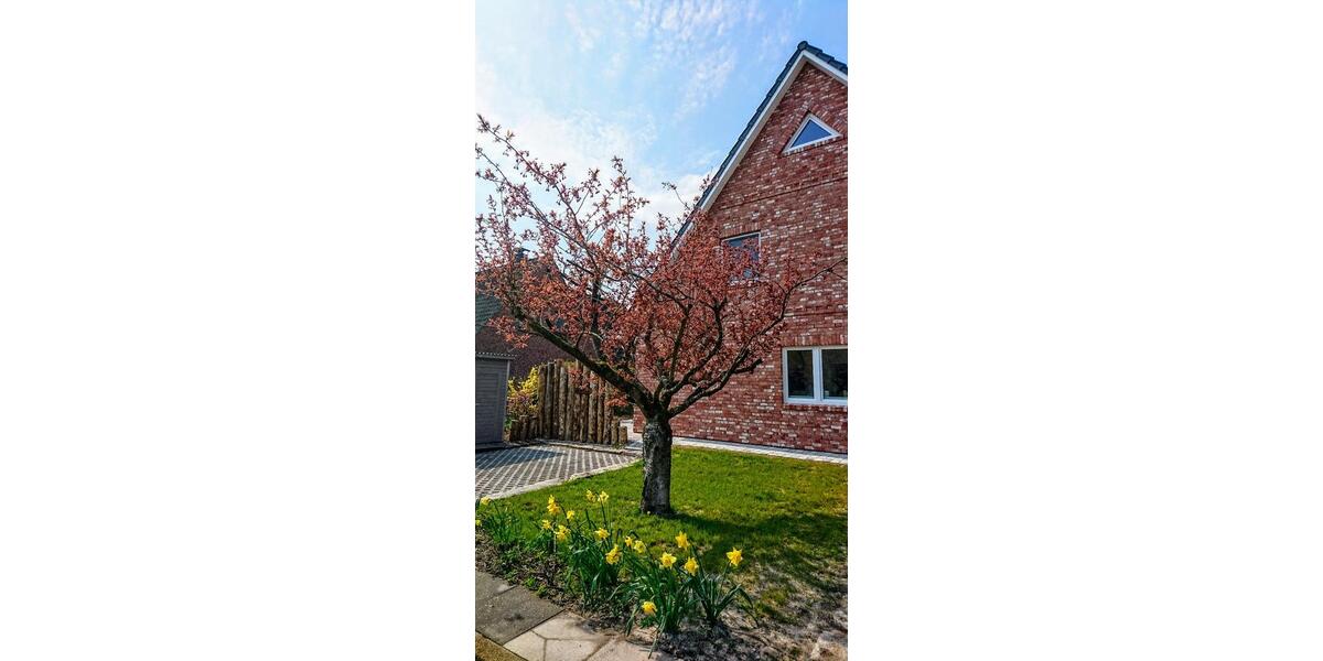 Doppelhaushälfte Sankt Peter-Ording Ording - 3 Zimmer, 81 m&sup2;, 595.000&euro; | Angebot:24851428