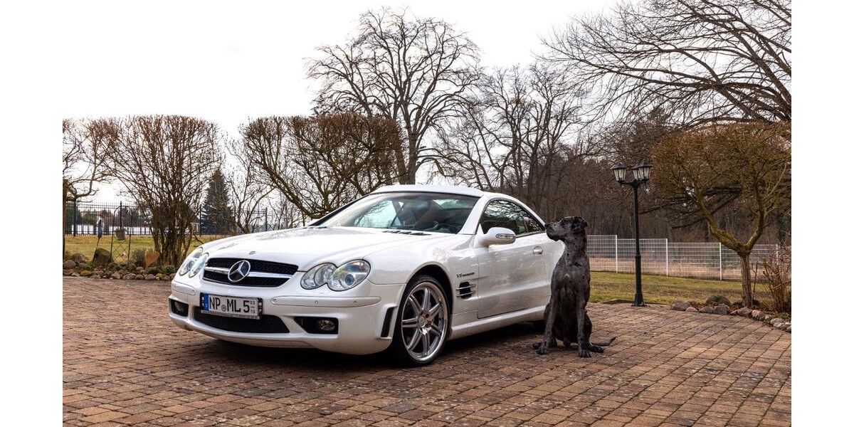 Mercedes-Benz SL 55 AMG 85.000 km 30.990 &euro; Luhme 16837