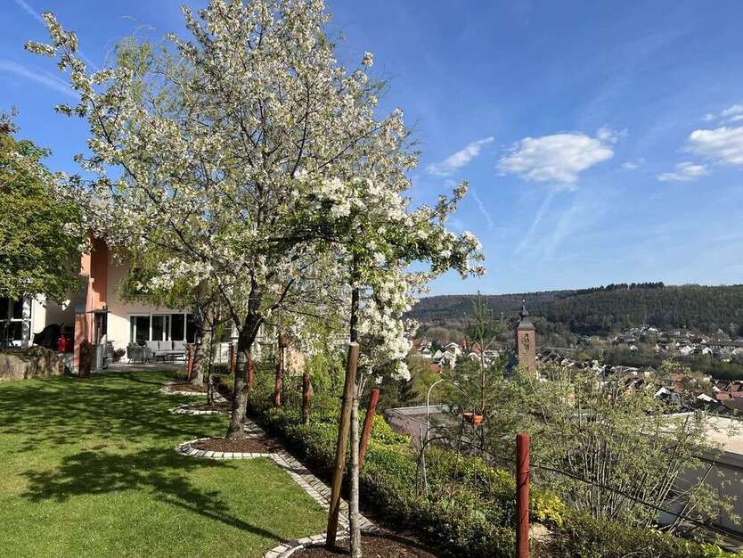 Haus zum Kaufen in Rodalben 1.790.000 € 350 m²