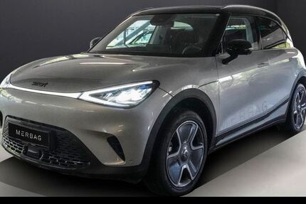 Smart #1 8.300 km 31.890 € Wiesbaden 65189