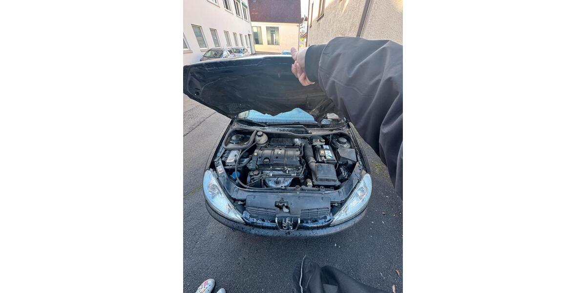 Gewerbeobjekt Dürmentingen - 150&euro; | Angebot:26080744