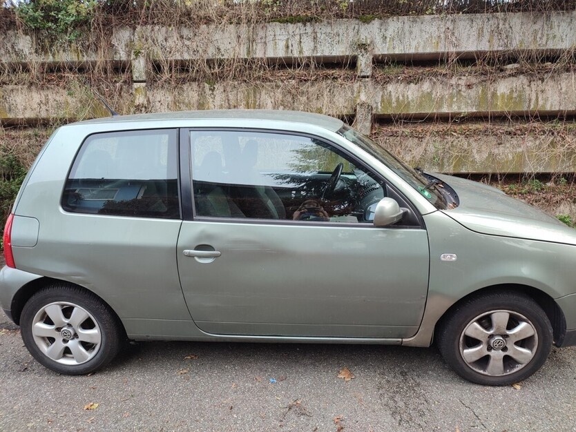 Lupo