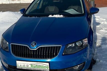 Skoda Octavia 173.000 km 12.450 &euro; Hagenow 19230