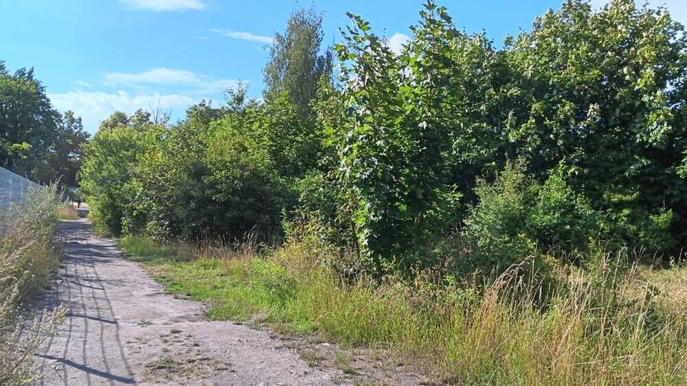 Grundstück Saalfeld Crösten - 71.500&euro; | Angebot:25670364