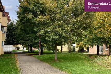Wohnung zum Kaufen in Salzmünde Schiepzig 72.000 € 54.67 m² 3 zimmer