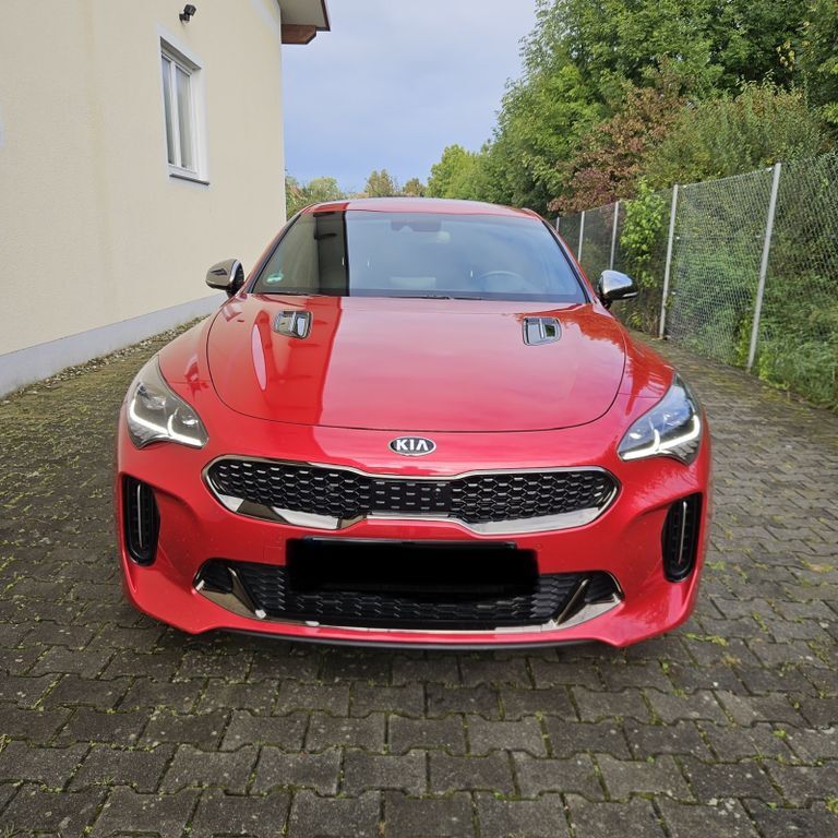 Stinger