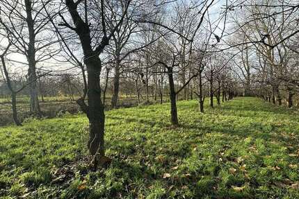 Grundstück Engelschoff / Neuland Neuland - 63.000&euro; | Angebot:25195364