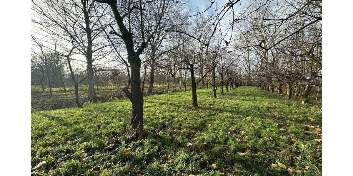 Grundstück Engelschoff / Neuland Neuland - 63.000&euro; | Angebot:25195364