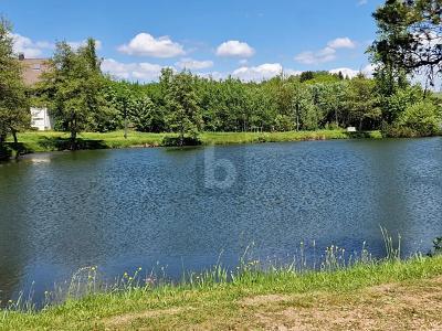 TOP LAGE IM SÜDSCHWARZWALD - Gewerbeobjekt Herrischried | Angebot:26447010