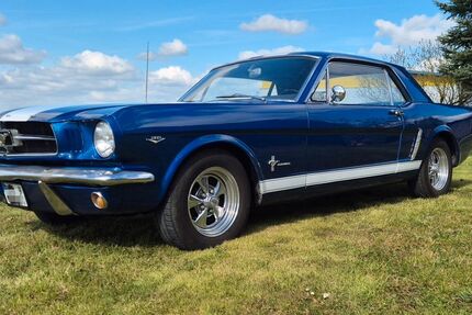 Ford Mustang 100.400 km 33.490 &euro; Herforst 54662