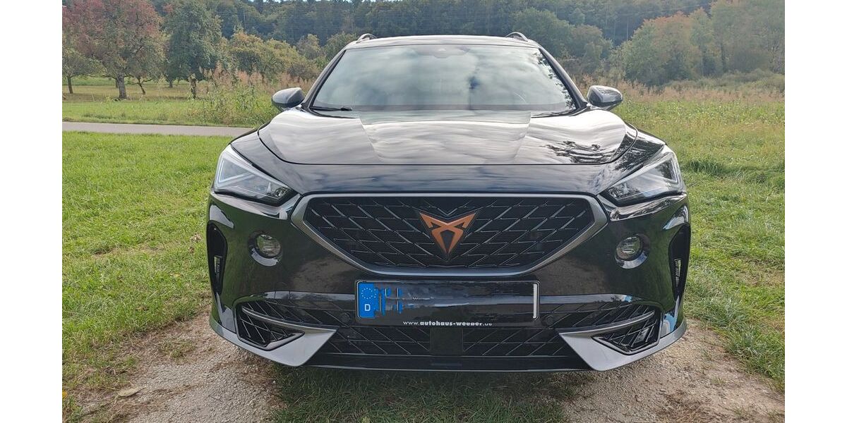 Cupra Formentor 67.347 km 25.500 &euro; Singen 78224