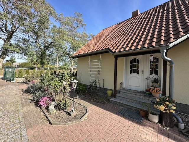Haus zum Kaufen in Schwedt 272.000 € 168 m²