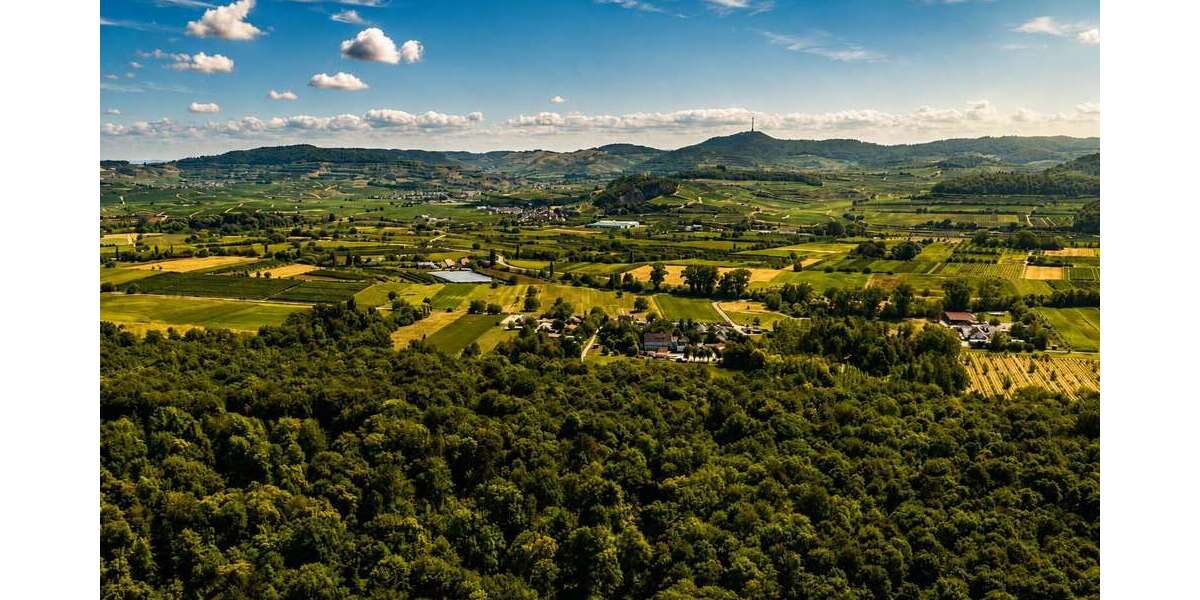 Grundstück Breisach am Rhein - 1.620.000&euro; | Angebot:27341982