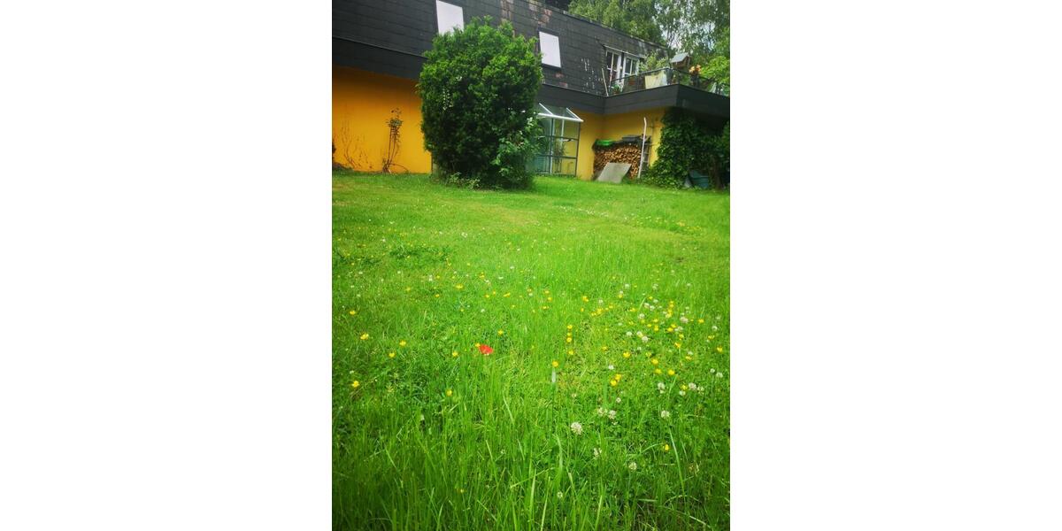 Loft - Studio - Atelier Seevetal - 2 Zimmer, 90 m&sup2;, 1.290&euro; | Angebot:26335560