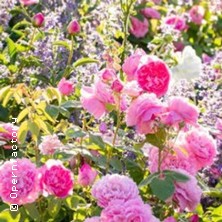 SommerOper 06.06.2026 Opernfactory Hamburg