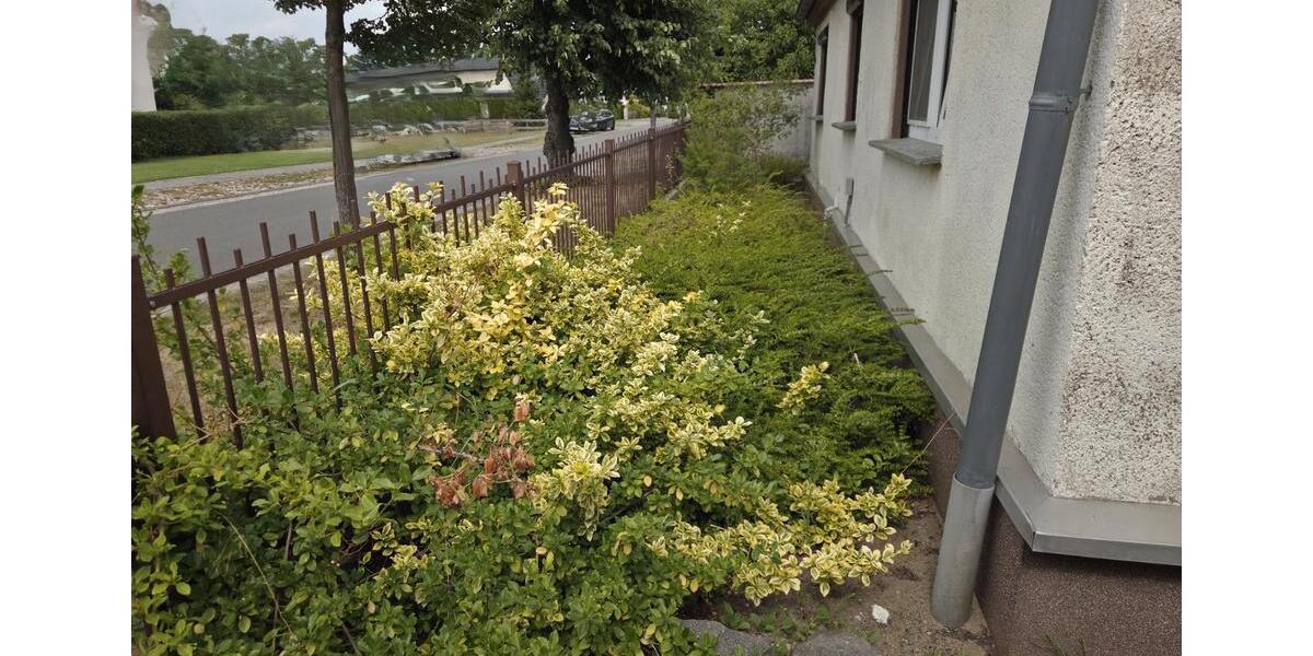 Einfamilienhaus Beilrode - 6 Zimmer, 100 m&sup2;, 63.999&euro; | Angebot:27141312