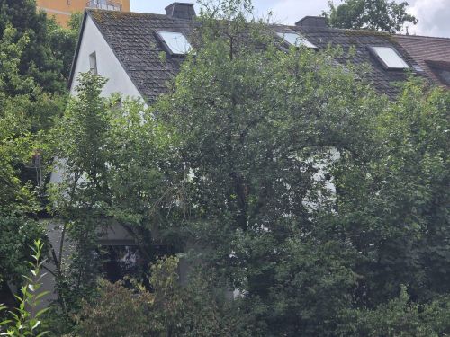 Kleiner versteckter Traum mit viel Grünfläche! Mehrfamilienhaus in 97074 Würzburg-Frauenland (ID 92) 14 zimmer