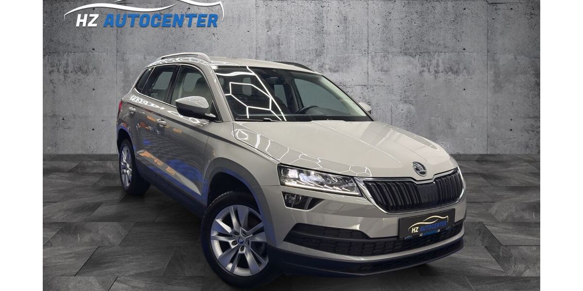Skoda Karoq 150.000 km 18.999 &euro; March 79232