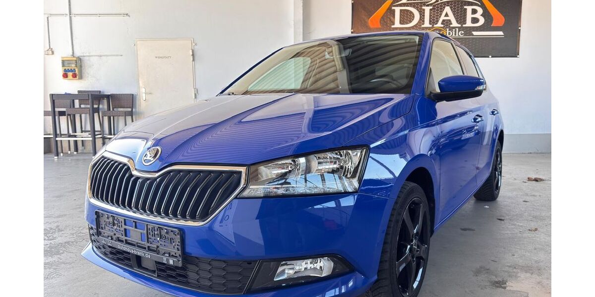 Skoda Fabia 59.550 km 11.790 &euro; Graben-Neudorf 76676
