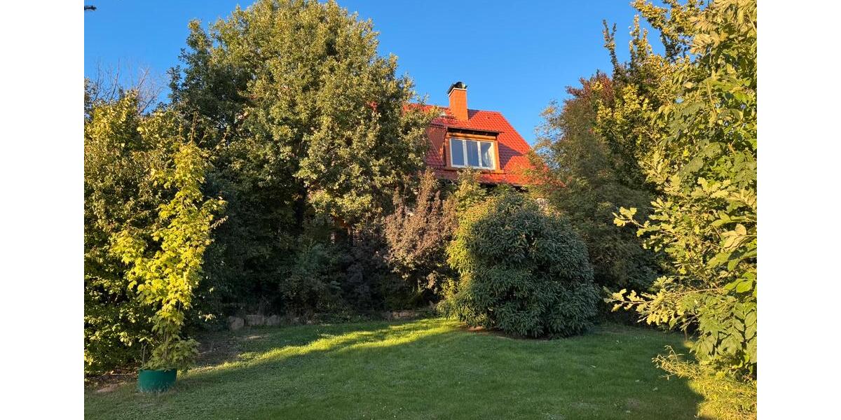 Gewerbeobjekt Döbeln - 7 Zimmer, 1 m&sup2;, 1.960&euro; | Angebot:24668557