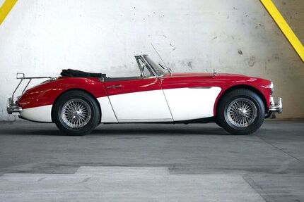 Austin Healey Andere