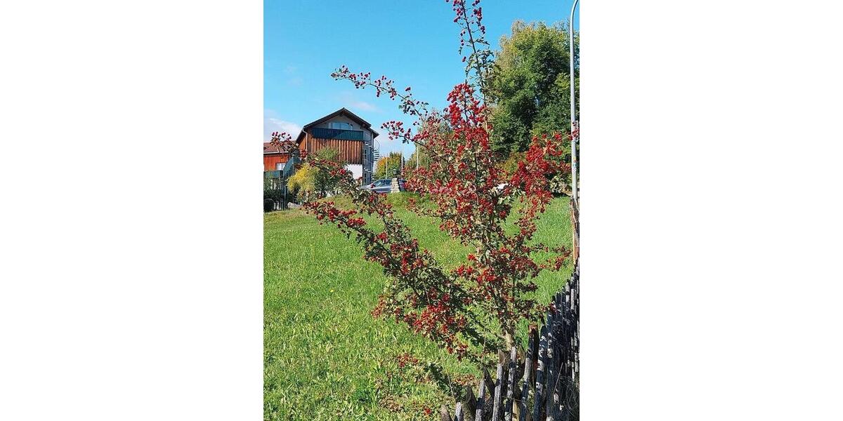Etagenwohnung Viechtach - 1 Zimmer, 23 m&sup2;, 32.130&euro; | Angebot:26947372