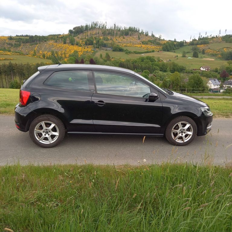 Polo