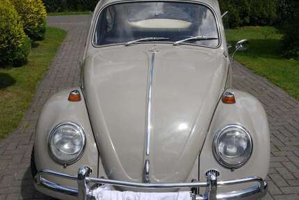VW Käfer 45.000 km 15.400 € Schneverdingen 29640