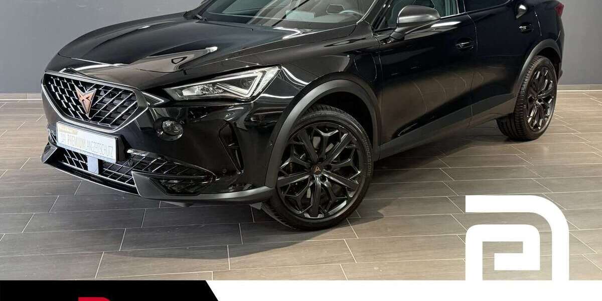 Cupra Formentor 38.073 km 33.164 &euro; Offenbach 63069