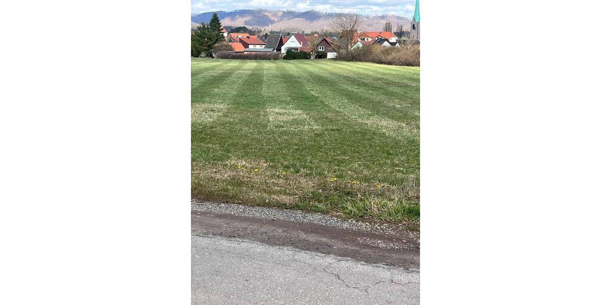 Grundstück Ellrich Rothesütte - 350.000&euro; | Angebot:26155185