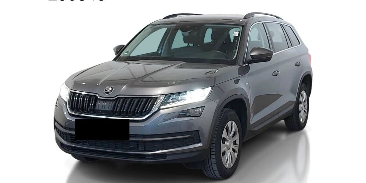 Skoda Kodiaq 107.200 km 24.990 &euro; Steinbach-Hallenberg OT Herges-Hallenberg 98587