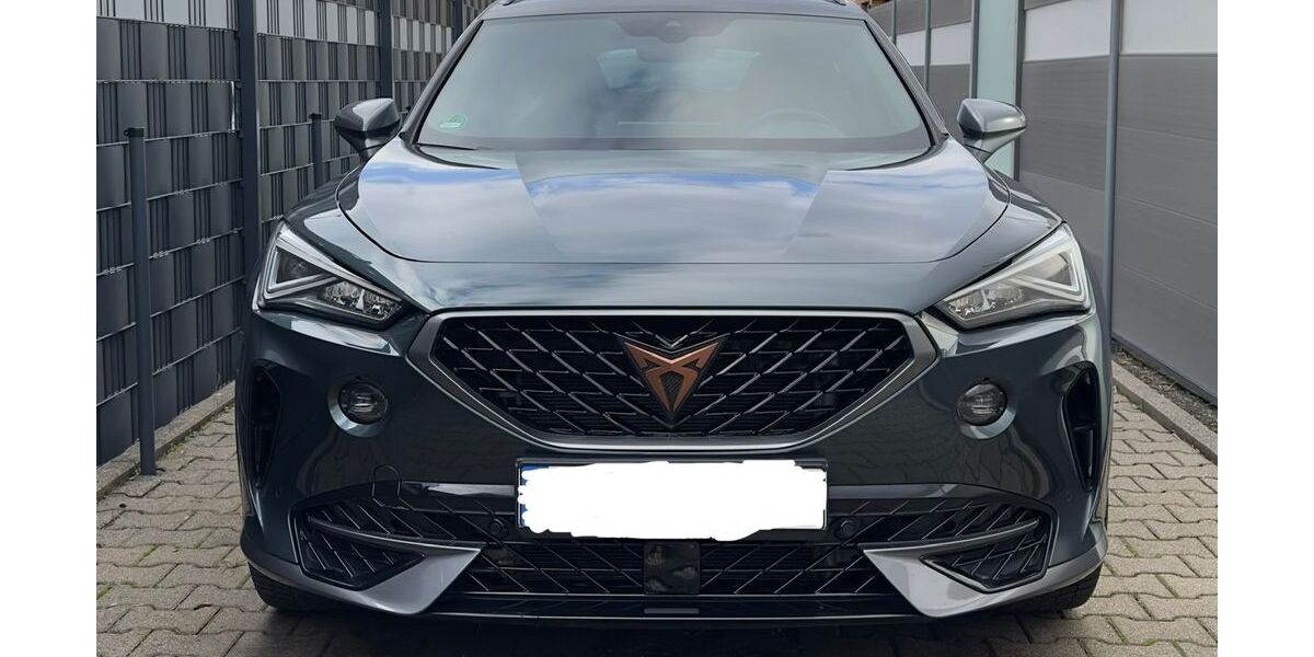 Cupra Formentor 17.531 km 27.000 &euro; Worms 67547