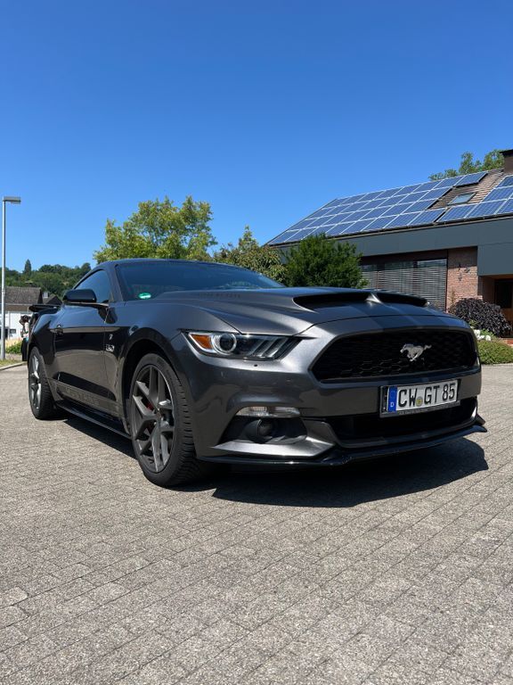 Mustang