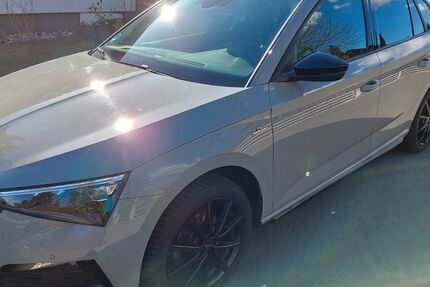 Skoda Scala 45.695 km 19.990 &euro; Hof 95028