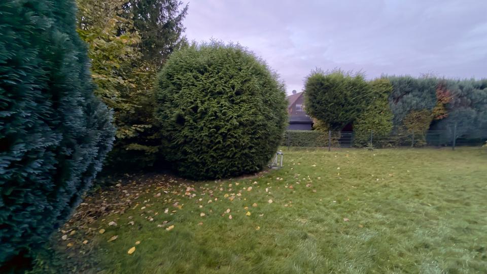 Dachgeschoßwohnung Tönisvorst - 2 Zimmer, 55 m&sup2;, 590&euro; | Angebot:24654473