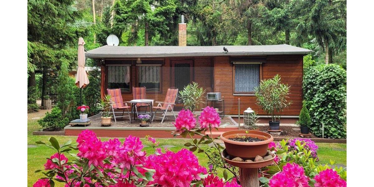 Grundstück Coswig (Anhalt) Coswig - 50.000&euro; | Angebot:26851834