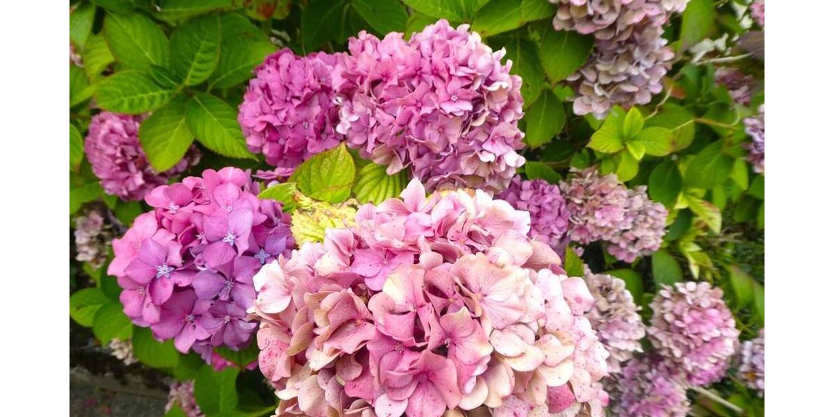 Grundstück Bietigheim-Bissingen Bietigheim - 595.000&euro; | Angebot:22475248