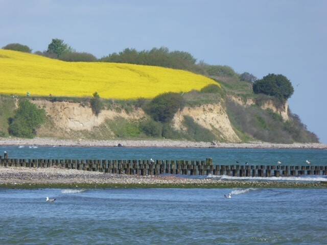 Etagenwohnung Boltenhagen Redewisch - 3 Zimmer, 64 m&sup2;, 329.000&euro; | Angebot:26318162