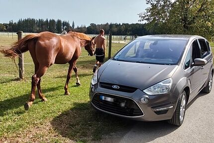 Ford S-Max 167.000 km 6.800 &euro; Vaterstetten / Baldham - Bayern 85598