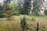 Grundstück Forst (Lausitz) Forst-Stadt - 37.000&euro; | Angebot:26804336