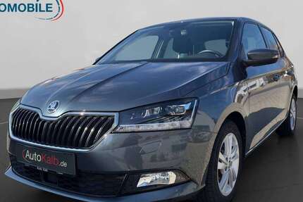 Skoda Fabia 47.759 km 13.444 &euro; Schnaittach 91220