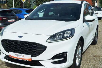 Ford Kuga 102.122 km 24.990 &euro; Appenweier-Urloffen 77767