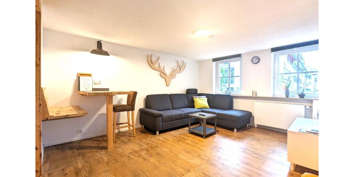 Etagenwohnung Waldshut-Tiengen Tiengen - 2 Zimmer, 54 m&sup2;, 1.450&euro; | Angebot:23602127