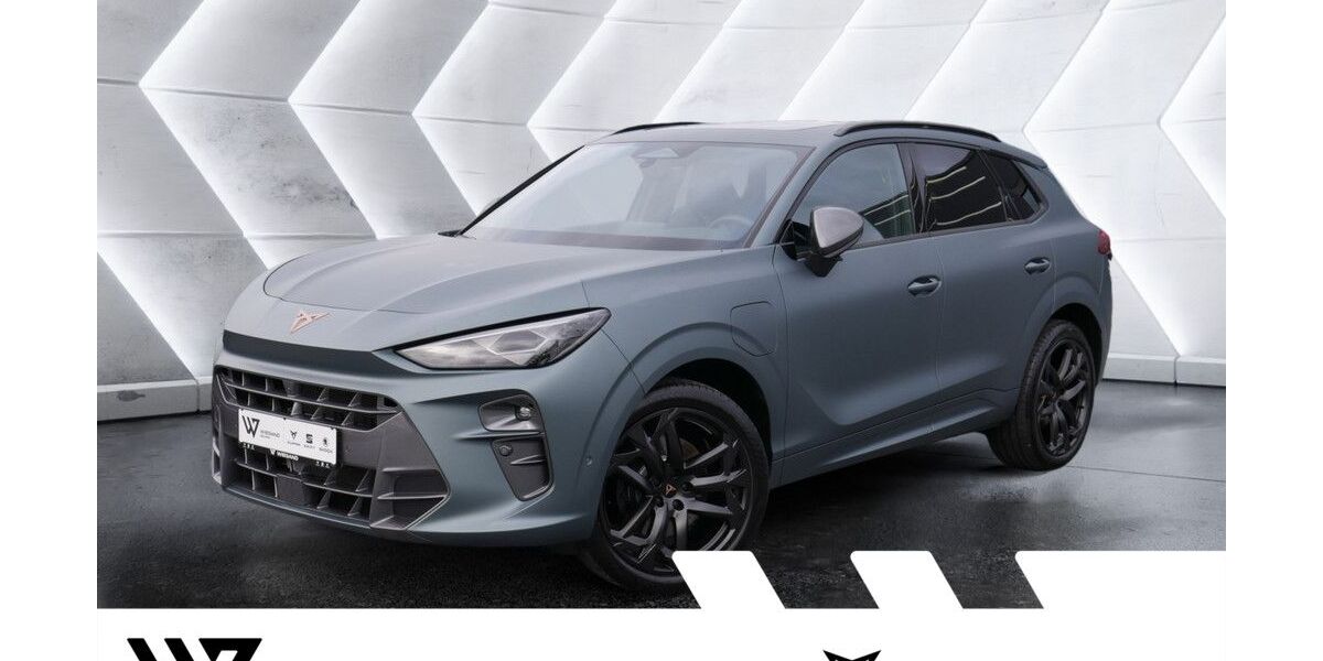 Cupra Terramar 11.173 km 46.920 &euro; Büdingen-Düdelsheim 63654