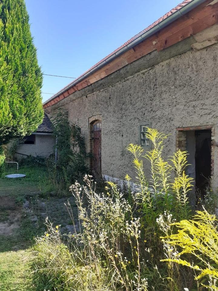 Lehmhaus in 04509 Lissa bei Delitzsch für handwerklich Begabte zimmer