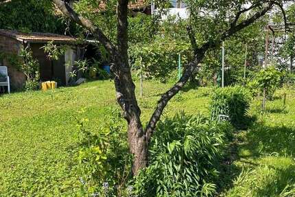 Grundstück Grenzach-Wyhlen Wyhlen - 300.000&euro; | Angebot:25336665