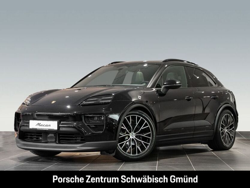 Macan