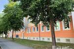 Etagenwohnung Zeitz Aue - 2 Zimmer, 36 m&sup2;, 240&euro; | Angebot:26858883